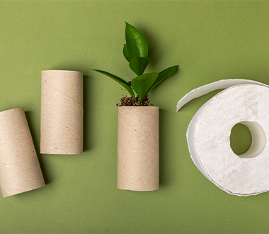 What is the ecological future of paper hygiene like?